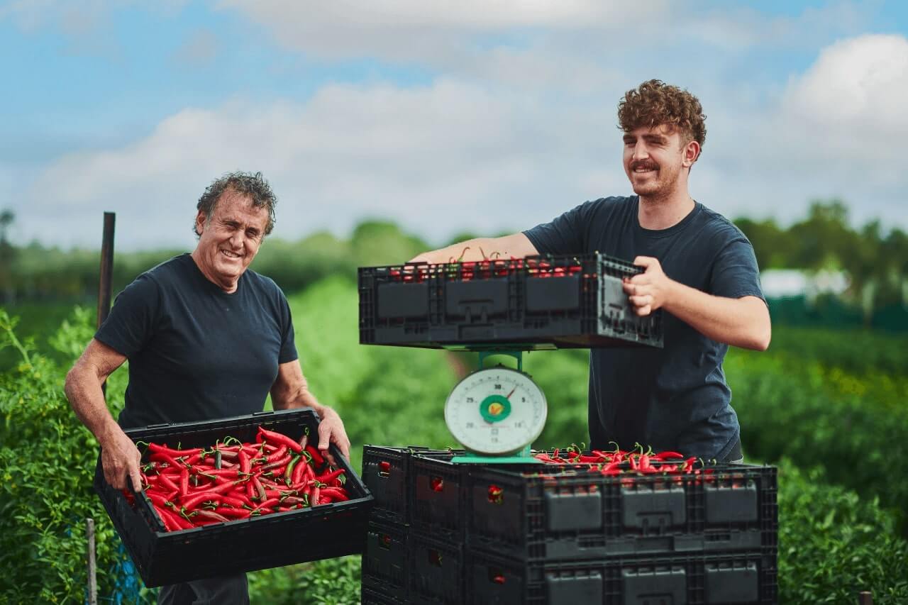 Category Management coles supplier central